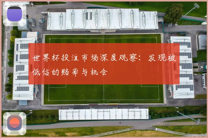 世界杯投注市场深度观察:发现被低估的赔率与机会