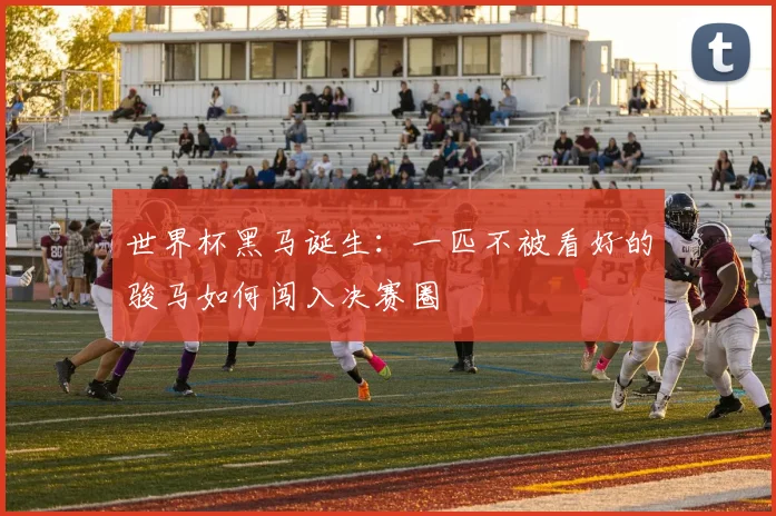 世界杯黑马诞生：一匹不被看好的骏马如何闯入决赛圈