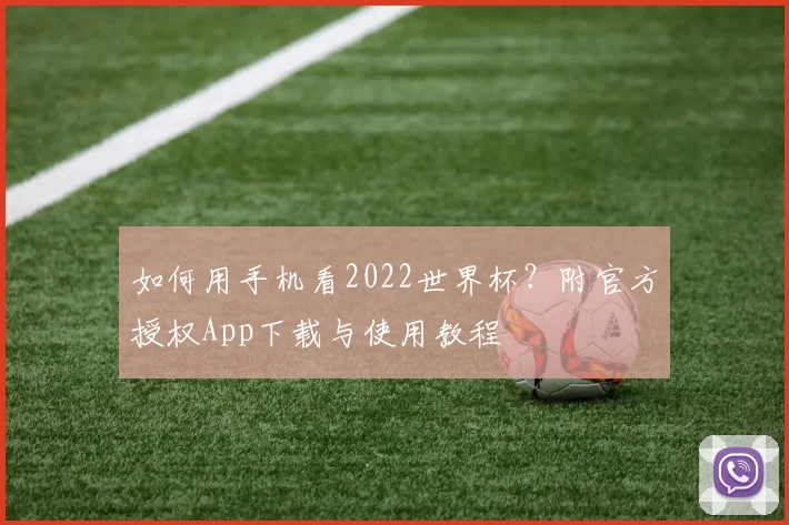 如何用手机看2022世界杯？附官方授权App下载与使用教程