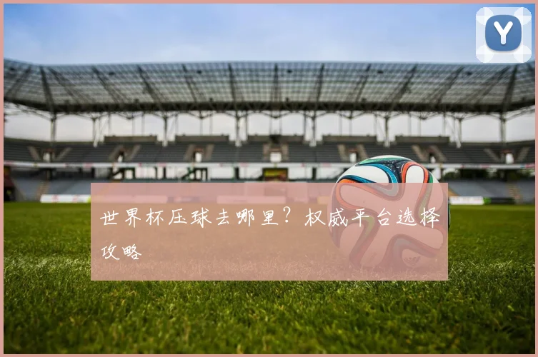 世界杯压球去哪里?权威平台选择攻略